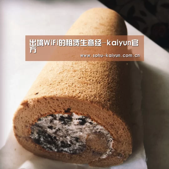 出境WiFi的租赁生意经-kaiyun官方(图2) kaiyun官网